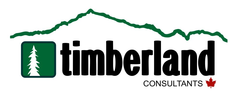 Timberland_Logo2017.jpg