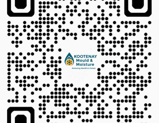 QR Code with logo.png