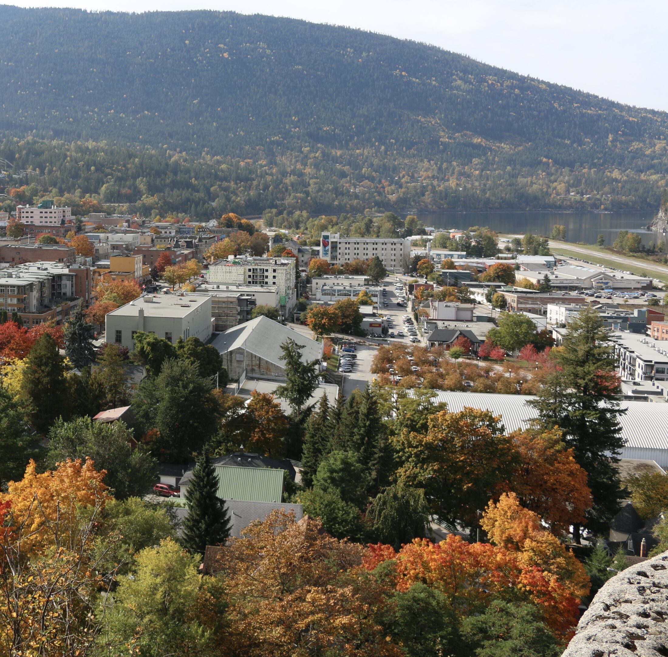 Candidate Question One Nelson in the autumn